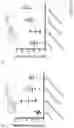 Fig. 23 - BISPECIFIC T CELL ACTIVATING ANTIGEN BINDING MOLECULES