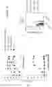 Fig. 27 - BISPECIFIC T CELL ACTIVATING ANTIGEN BINDING MOLECULES