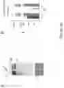 Fig. 28 - BISPECIFIC T CELL ACTIVATING ANTIGEN BINDING MOLECULES