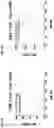 Fig. 06 - MULTIMERIC OX40 BINDING MOLECULES AND USES THEREOF