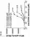 Fig. 08 - MULTIMERIC OX40 BINDING MOLECULES AND USES THEREOF