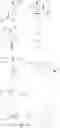 Fig. 19 - Curable composition, cured substance, optical member, and lens