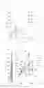 Fig. 03 - Macromolecular material, method for producing same, and polymerizable monomer composition