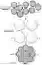 Fig. 05 - Filler particles for polymers