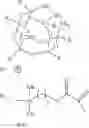 Fig. 19 - PHOTOCURABLE RESIN COMPOSITION FOR IMPRINTING, METHOD FOR PRODUCING PHOTOCURABLE RESIN COMPOSITION FOR IMPRINTING, AND METHOD FOR PRODUCING PATTERN FORMED BODY