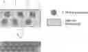 Fig. 01 - COMPOSITION, LAYERED BODY, AND COVERED METAL PRODUCT