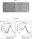 Fig. 10 - REVERSIBLE WRINKLE PATTERNS AND METHODS OF MAKING AND USING THE SAME