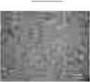 Fig. 01 - Foamable Silicone Composition, Preparation Method and Use Thereof