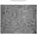 Fig. 02 - Foamable Silicone Composition, Preparation Method and Use Thereof