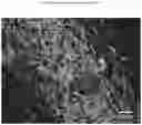 Fig. 04 - Foamable Silicone Composition, Preparation Method and Use Thereof
