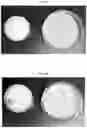 Fig. 03 - COMPOSITIONS AND METHODS FOR PROTECTING ORGANIC POLYMERIC MATERIALS FROM DISCOLORATION DUE TO EXPOSURE TO UV-C LIGHT