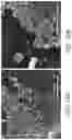 Fig. 13 - Methods of producing functionalized powder particles