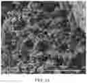 Fig. 16 - Methods of producing functionalized powder particles