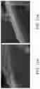 Fig. 18 - Methods of producing functionalized powder particles