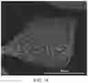 Fig. 19 - Methods of producing functionalized powder particles