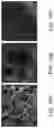 Fig. 20 - Methods of producing functionalized powder particles