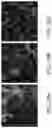 Fig. 21 - Methods of producing functionalized powder particles