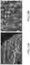 Fig. 23 - Methods of producing functionalized powder particles