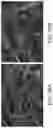 Fig. 37 - Methods of producing functionalized powder particles