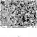 Fig. 04 - Transparent Varnish Composition