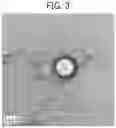 Fig. 03 - AQUEOUS DISPERSION, METHOD OF MANUFACTURING AQUEOUS DISPERSION, AND INK