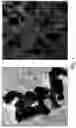 Fig. 02 - SINTERING POWDER