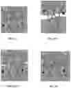 Fig. 03 - Method of application of sliding-ring polymers to enhance elastic properties in oil-well cement