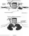 Fig. 08 - Subterranean placement of lignocellulosic materials