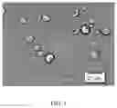Fig. 02 - CLEAVEABLE MULTI-ALCOHOL-BASED MICROCAPSULES