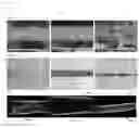 Fig. 04 - THREE-DIMENSIONAL MUSCLE TISSUE AND PRODUCTION METHOD THEREFOR