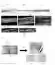 Fig. 05 - THREE-DIMENSIONAL MUSCLE TISSUE AND PRODUCTION METHOD THEREFOR