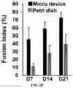 Fig. 07 - A MICRO PHYSIOLOGICAL MODEL FOR NEURONAL AND MUSCULAR DISEASES AND DISORDERS