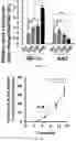 Fig. 10 - A MICRO PHYSIOLOGICAL MODEL FOR NEURONAL AND MUSCULAR DISEASES AND DISORDERS