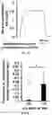 Fig. 11 - A MICRO PHYSIOLOGICAL MODEL FOR NEURONAL AND MUSCULAR DISEASES AND DISORDERS
