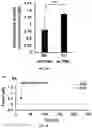 Fig. 12 - A MICRO PHYSIOLOGICAL MODEL FOR NEURONAL AND MUSCULAR DISEASES AND DISORDERS