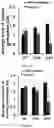 Fig. 15 - A MICRO PHYSIOLOGICAL MODEL FOR NEURONAL AND MUSCULAR DISEASES AND DISORDERS