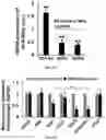 Fig. 17 - A MICRO PHYSIOLOGICAL MODEL FOR NEURONAL AND MUSCULAR DISEASES AND DISORDERS