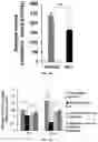 Fig. 18 - A MICRO PHYSIOLOGICAL MODEL FOR NEURONAL AND MUSCULAR DISEASES AND DISORDERS