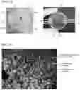 Fig. 10 - FLUIDIC DEVICE