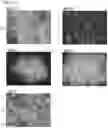 Fig. 13 - FLUIDIC DEVICE