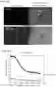 Fig. 16 - FLUIDIC DEVICE