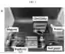 Fig. 04 - HYDROGEL-BASED 3D CELL TRAINING BIOREACTOR