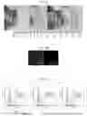 Fig. 05 - HYDROGEL-BASED 3D CELL TRAINING BIOREACTOR
