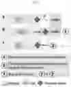 Fig. 07 - HYDROGEL-BASED 3D CELL TRAINING BIOREACTOR