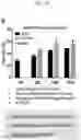 Fig. 10 - HYDROGEL-BASED 3D CELL TRAINING BIOREACTOR