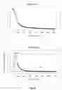 Fig. 05 - NEW LACTIC ACID BACTERIA