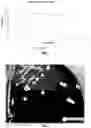 Fig. 02 - PROBIOTIC BIFIDOBACTERIUM STRAIN