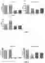 Fig. 04 - PROBIOTIC BIFIDOBACTERIUM STRAIN