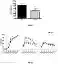 Fig. 08 - PROBIOTIC BIFIDOBACTERIUM STRAIN