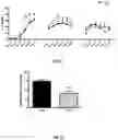 Fig. 09 - PROBIOTIC BIFIDOBACTERIUM STRAIN